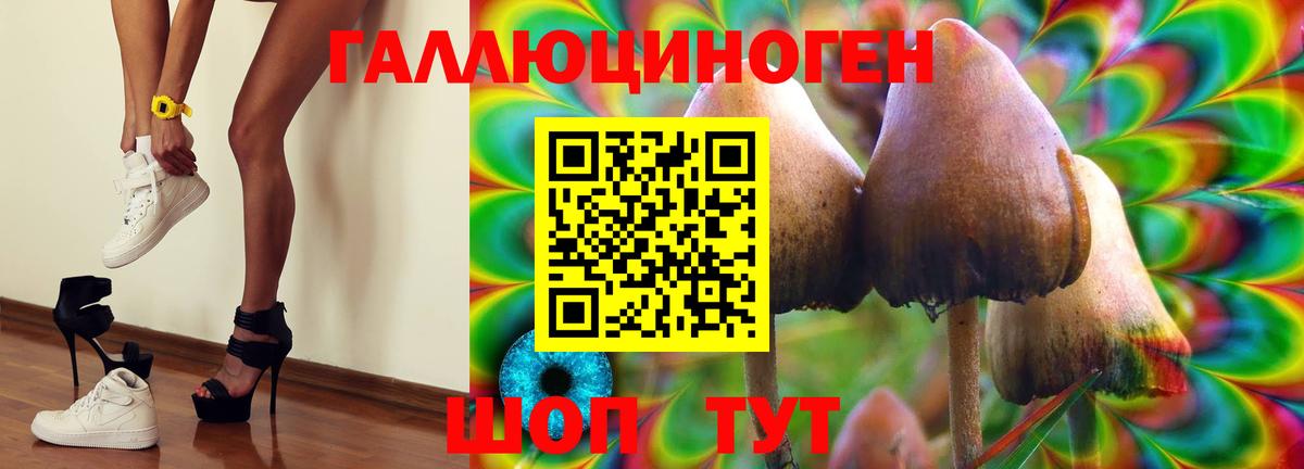 Псилоцибиновые грибы Cubensis  Вход с VPN  Кировск 
